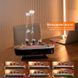 Аромадиффузор-увлажнитель Titanic 250 мл LED, холодный туман, пульт